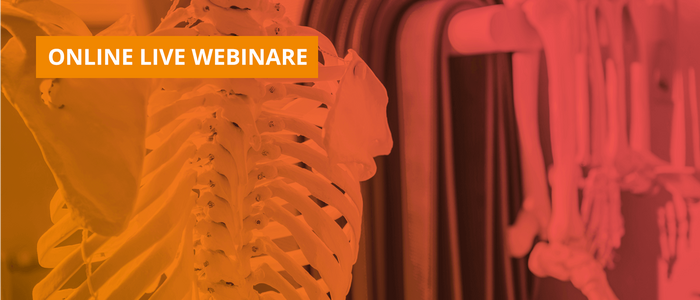 Online Live-Webinare